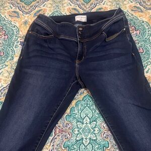 Lane Bryant Deep Indigo Women's Jeggings